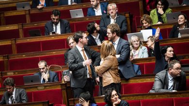 députés et sénateurs s’accordent pour réguler et réduire la niche fiscale