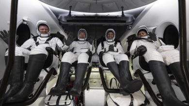 Quatre astronautes reviennent sur Terre après un séjour de huit mois sur la Station spatiale