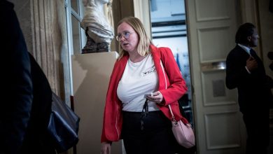 Un collaborateur de la députée LFI Ersilia Soudais interdit d’accès à l’Assemblée nationale