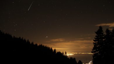 Orionides : les dates pour admirer cette pluie automnale d’étoiles filantes