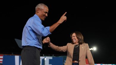 Kamala Harris et Donald Trump apparaissent aux côtés de célébrités onze jours avant les élections