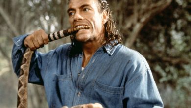 Sur Netflix, on a revu « Manhunt », de John Woo : Jean-Claude Van Damme à son meilleur – Télérama.fr