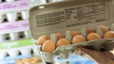 Salmonelles dans les œufs, mercure dans les boîtes de thon, larves dans le riz… Que se passe-t-il dans nos assiettes ?