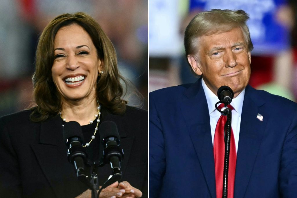 Trump face à Harris, que révèlent les derniers sondages à J-5 de l’élection ?