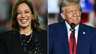 Trump face à Harris, que révèlent les derniers sondages à J-5 de l’élection ?