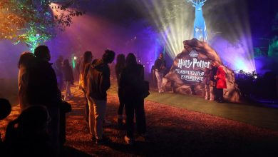 La magie d’Harry Potter captive les premiers visiteurs