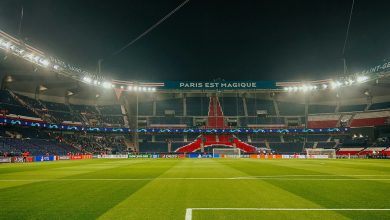 PSG-Strasbourg : « Ferme ta gueule, tu n’es pas un vrai supporter, sale connard ». : le président de l’association « Bleus et fiers », visé par les chants homophobes entendus au Parc des Princes