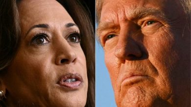 Présidentielle américaine 2024 : à quelques jours du scrutin, Kamala Harris et Donald Trump sont au coude à coude selon ce nouveau sondage