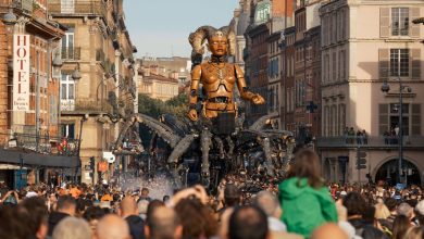 Spectacle La Machine à Toulouse : « On nous a demandé de nous écarter alors qu’il n’y avait plus de place », les spectateurs mal à l’aise