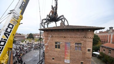 Salon de la Machine à Toulouse : « J’étais garé sur une place réservée aux handicapés, je n’ai pas vu les panneaux d’interdiction, ma voiture est partie à la fourrière »