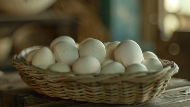 Rappel massif d’œufs en France face à la menace mortelle de la salmonellose