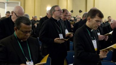 pourquoi les penseurs français intéressent la nouvelle droite catholique américaine