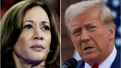 que se passerait-il en cas d’égalité entre Donald Trump et Kamala Harris ?