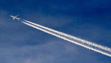 Des dizaines de fausses alertes à la bombe font des ravages dans les compagnies aériennes indiennes