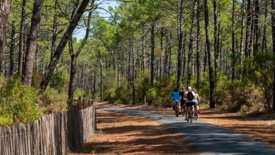 À Arcachon, la mairie propose un abonnement payant à ChatGPT à tous les habitants