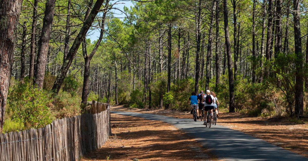 À Arcachon, la mairie propose un abonnement payant à ChatGPT à tous les habitants