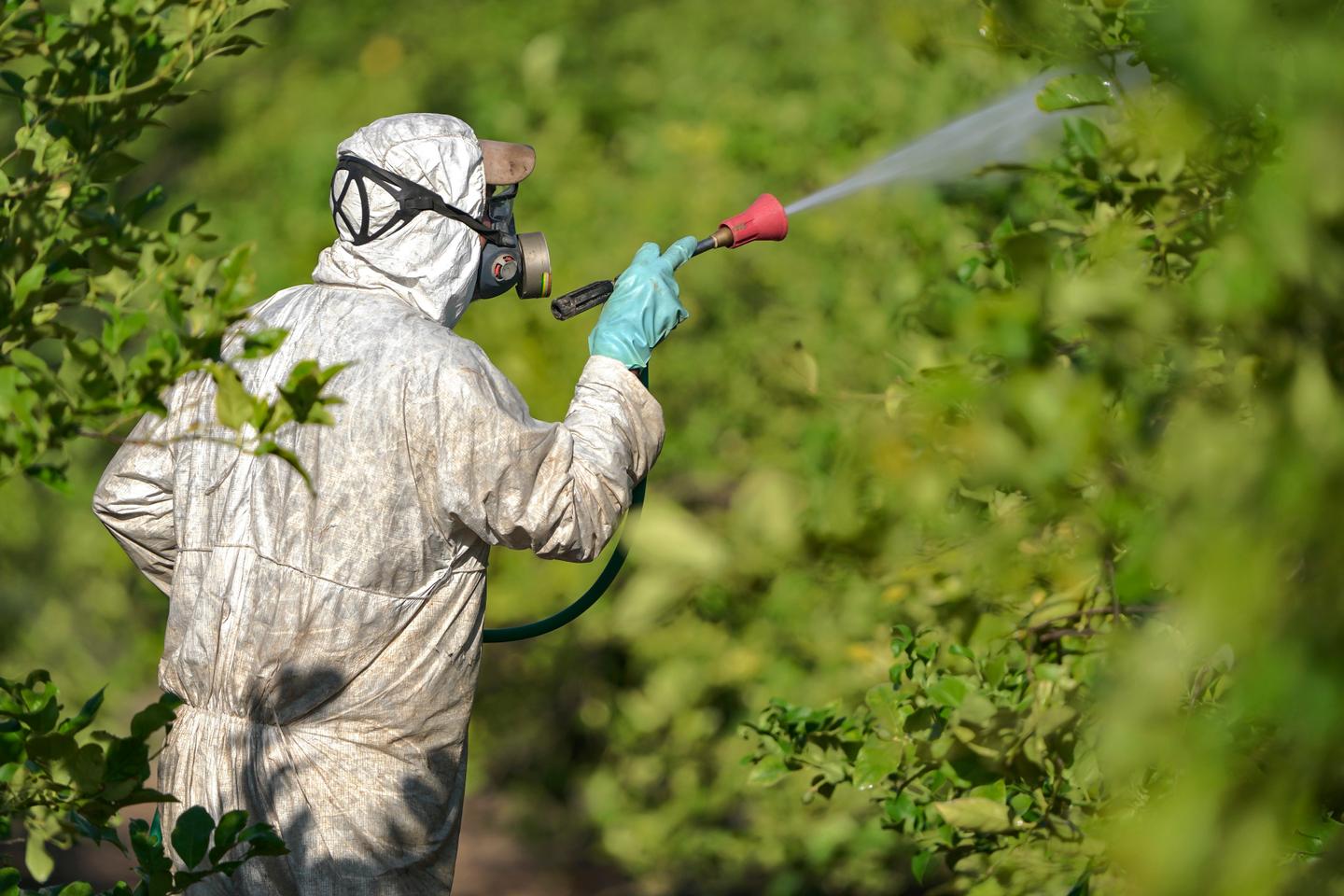 Les produits phytopharmaceutiques responsables du déclin des populations d’insectes