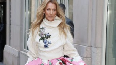 Céline Dion fait une apparition surprise au concert d’Adèle avec un chignon de gala – On vous explique comment le reproduire