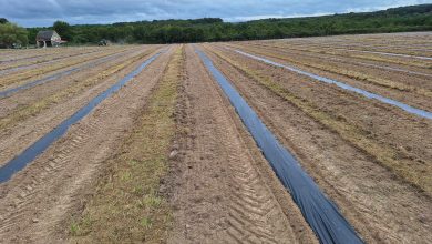 Informations sur la tournée | Une truffière unique va être créée en Sud Touraine