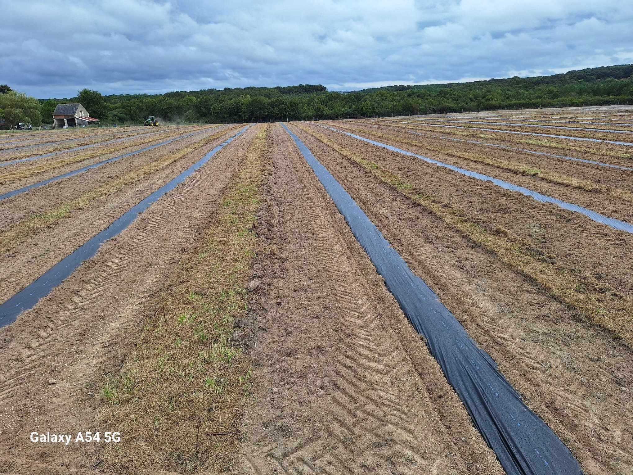 Informations sur la tournée | Une truffière unique va être créée en Sud Touraine