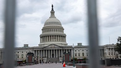 Aux Etats-Unis, à 10 jours de l’élection présidentielle, une crotte de bronze installée devant le Capitole