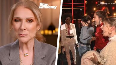 un message de Céline Dion aux étudiants de la « Star Academy » affole les internautes