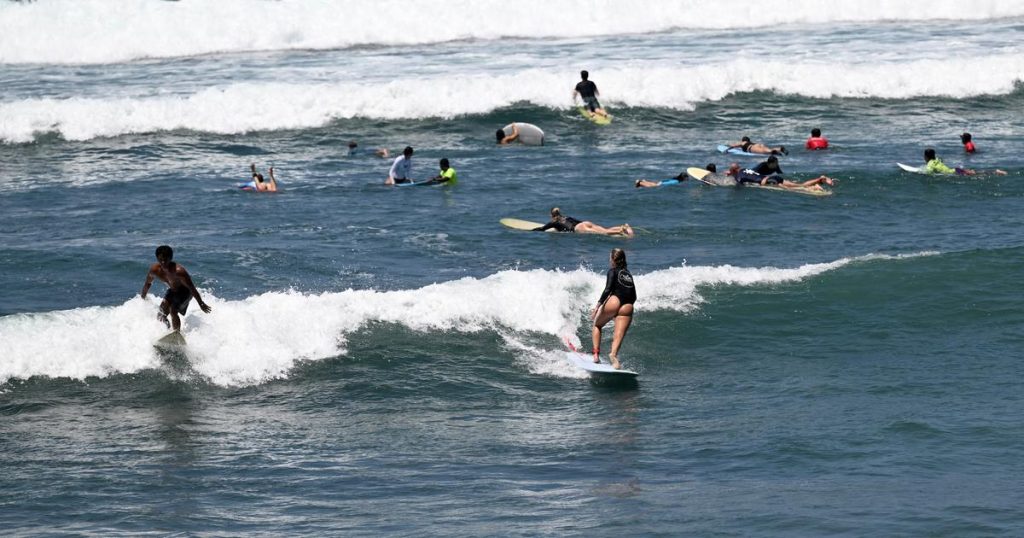 Un surfeur italien tué dans une attaque d’espadon