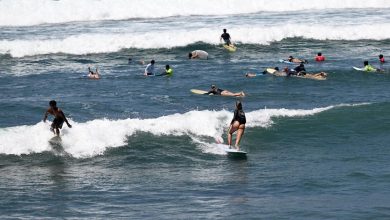 Un surfeur italien tué dans une attaque d’espadon