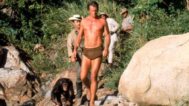 Mort de Ron Ely, incarnation de Tarzan dans les années 1960