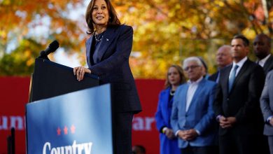 « Les lignes bougent aux Etats-Unis » : les Républicains modérés, nouvelle cible électorale de Kamala Harris