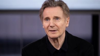 Liam Neeson parle de sa partenaire de tournage Pamela Anderson