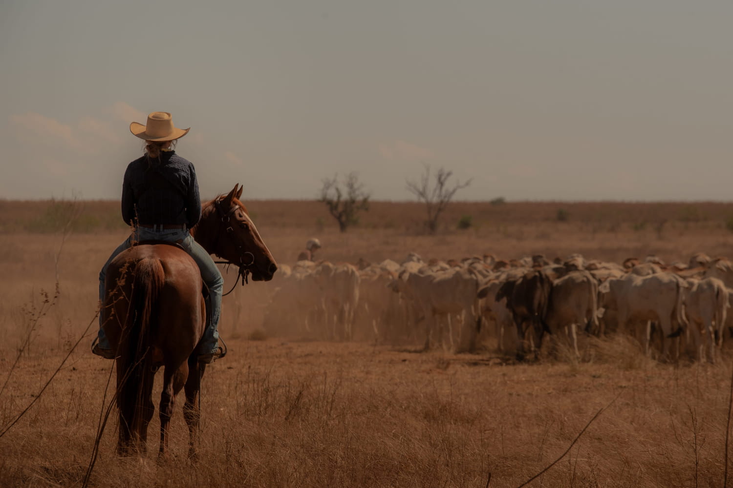 Tout le monde parle de cette nouvelle série australienne qui cartonne sur Netflix, elle se voit dans 6 heures