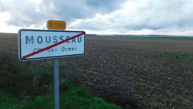 le fermier tombe dans une cuve à grains et meurt étouffé