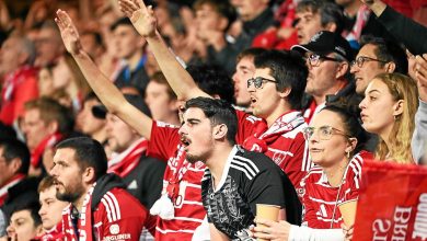 « Vous honorez la Bretagne », « le football que j’aime » : le parcours européen du Stade Brestois séduit bien au-delà du Finistère