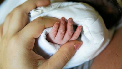 Disparition de Santiago : un enfant retrouvé vivant aux Pays-Bas, ses parents arrêtés