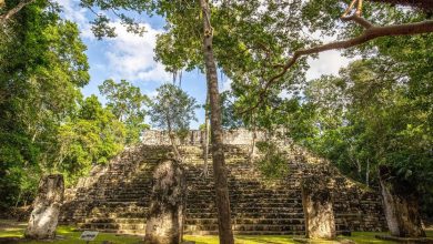 « Caché à la vue de tous », l’incroyable découverte d’une cité maya sur Google