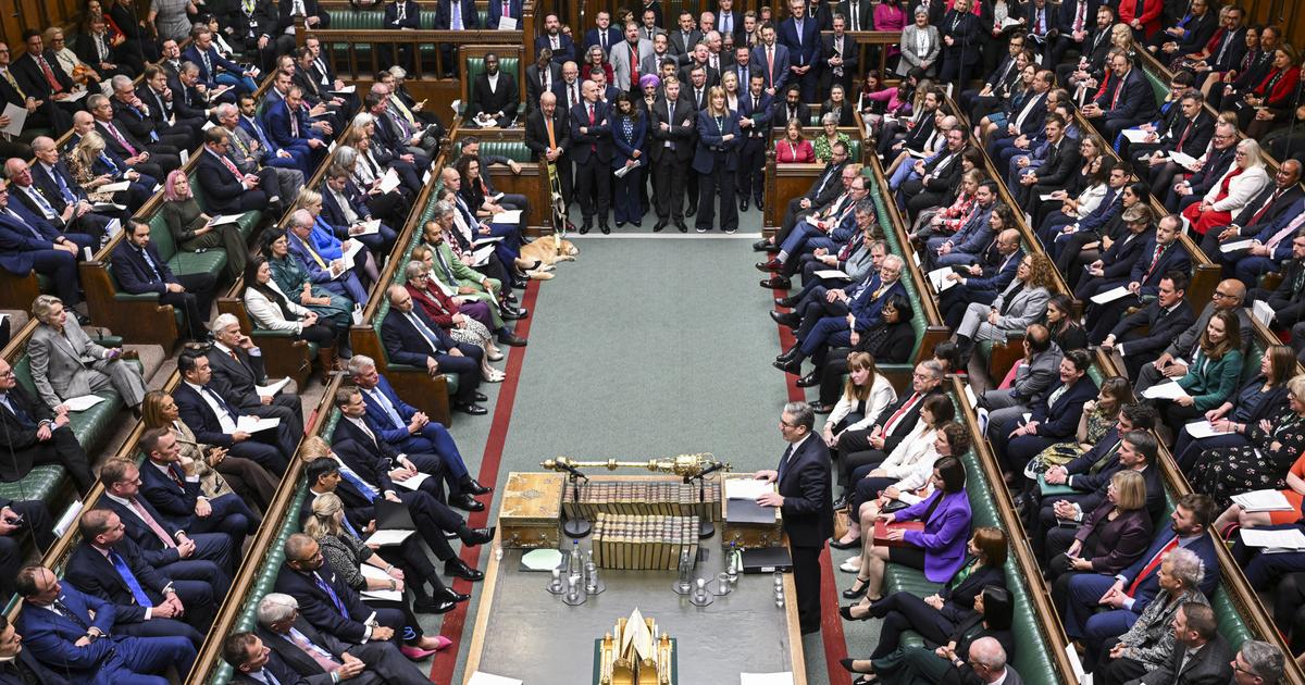 Un député travailliste suspendu après une vidéo dans laquelle il frappe un homme au sol