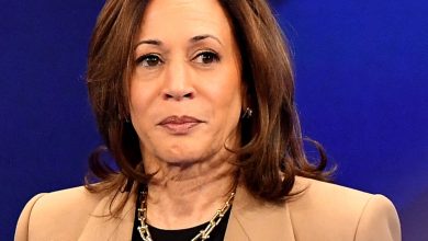 Kamala Harris : Douglas, son mari infidèle, a engendré un enfant avec la nounou de sa fille !