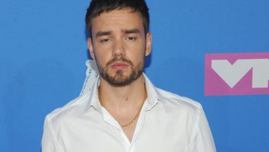 Liam Payne « aurait pu être sauvé » : les proches du chanteur révèlent un défaut qui aurait pu tout éviter