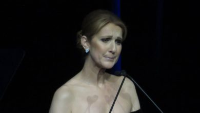 Diaporama : Céline Dion émue et réconfortée par son fils en plein concert, le public n’en revient pas – Purepeople