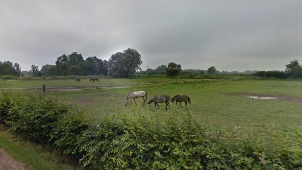 Une fillette de 10 ans décède après avoir reçu un coup de poney