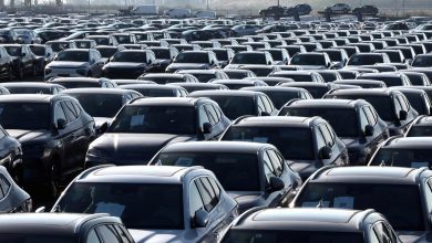 l’arbre Volkswagen et la forêt automobile européenne