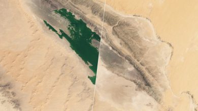 Digne d’un film de science-fiction : en septembre, de fortes pluies ont inondé le Sahara ! Des images incroyables de ces lacs du désert