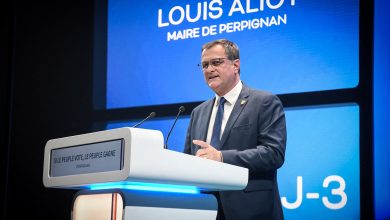 Procès RN : Louis Aliot en grande difficulté devant le tribunal