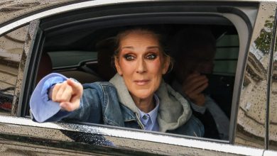 « Star Academy » : Céline Dion elle-même réserve une énorme surprise aux candidats