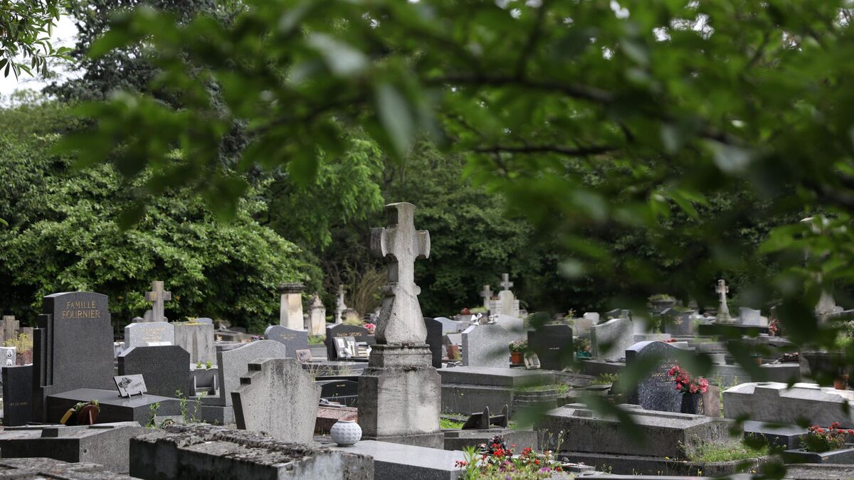 Pourquoi le 3 janvier est le jour le plus meurtrier de l’année