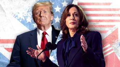 que disent les sondages sur le duel Trump-Harris à une semaine du vote ?