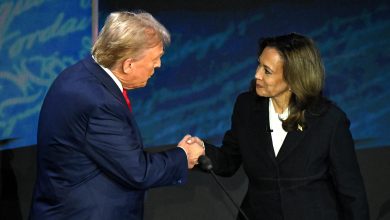 Donald Trump monte dans les sondages, Kamala Harris reste en tête au niveau national