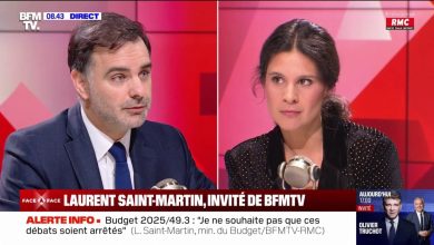 «Tous les Français qui sont au tarif réglementé verront leur facture baisser de 9%», assure Laurent Saint-Martin, ministre chargé du Budget et des Comptes publics.