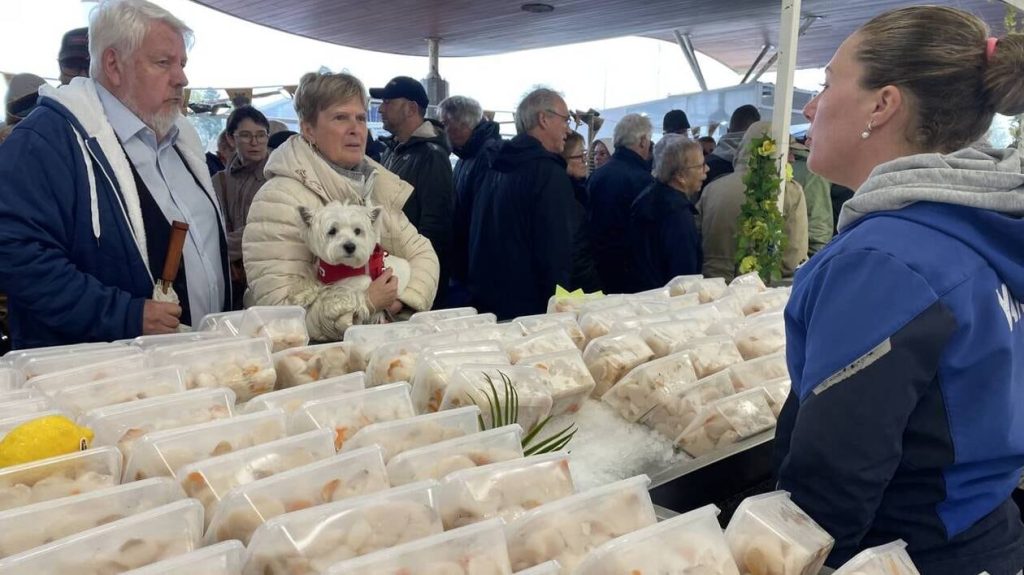 les coquilles Saint-Jacques se vendent comme des petits pains chauds à Ouistreham